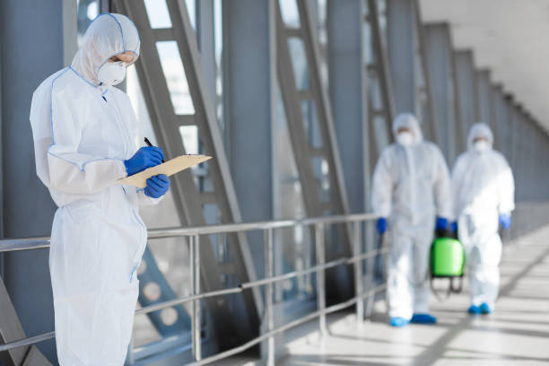 Best Mold Removal for HVAC Installations  in Louise, TX