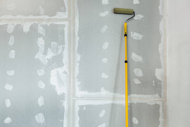 Best Basement Mold Removal  in Louise, TX