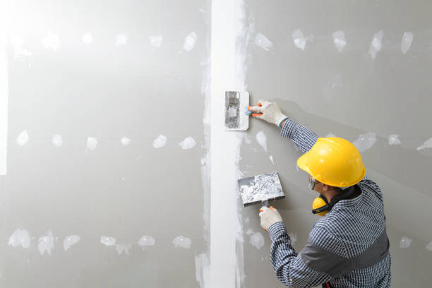 Best Post-Remediation Verification Testing  in Louise, TX