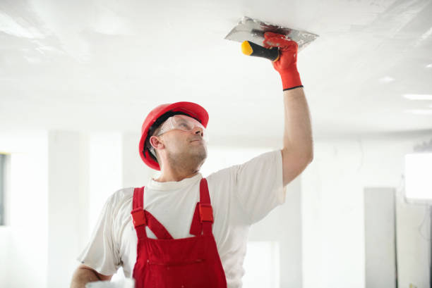 Best Water Damage & Mold Remediation  in Louise, TX